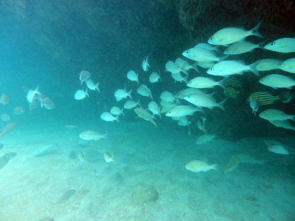 Pousada Sabrinna Maceió Exterior foto